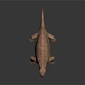 3D Reptile Character With Reddish Brown Wrinkled Textured Skin Standing On Smooth Surface