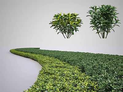 Green Shrubs With Individual Plants And Neatly Trimmed Hedge In Outdoor Landscape Design 3d model