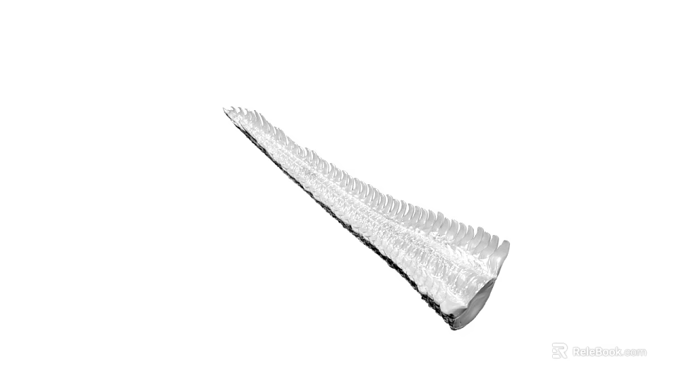 Silver Metallic Long Leaf Shaped Decorative Piece With Intricate Textured Surface 3d model 