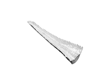 Silver Metallic Long Leaf Shaped Decorative Piece With Intricate Textured Surface 3d model