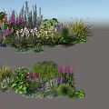 Vibrant Garden Plant Combination With Purple Pink Flowers Green Shrubs And Ornamental Grasses