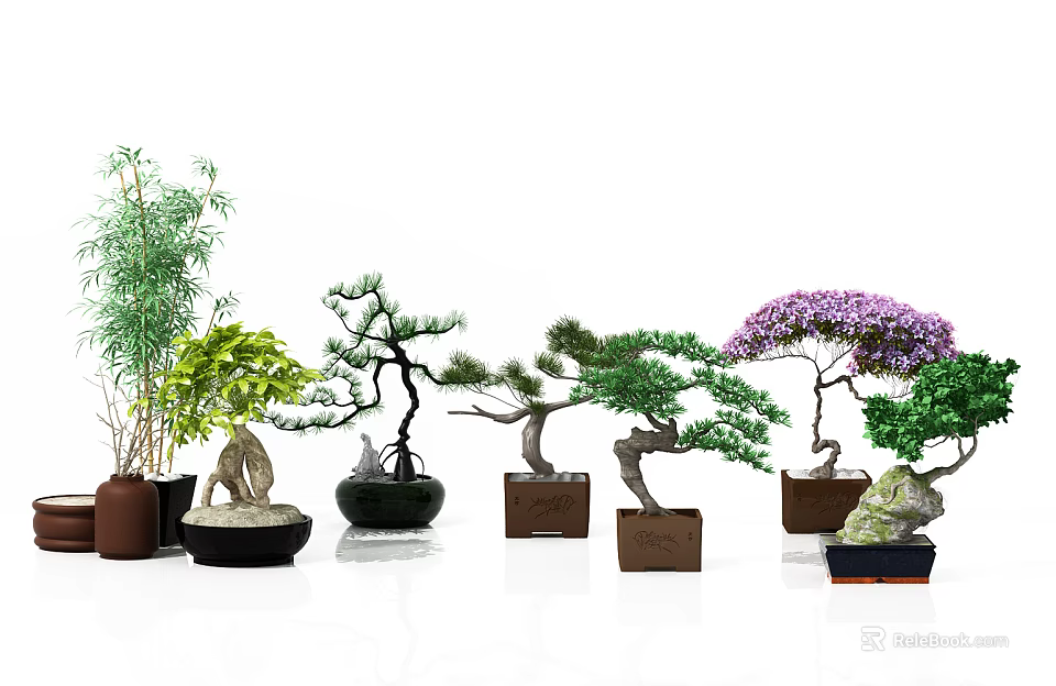 Various Decorative Bonsai Trees With Different Tree Varieties And Stylish Pots 3d model