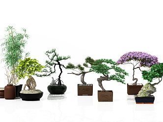 New Chinese Bonsai Plant Potted Combination 3d model