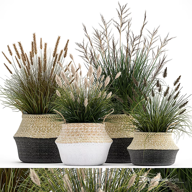 Stylish Potted Bonsai Plants in Woven Black and White Baskets with Grass Like Leaves 3d model 