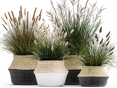 Stylish Potted Bonsai Plants in Woven Black and White Baskets with Grass Like Leaves 3d model