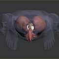 Human Head Organs 3D Anatomical Model Showing Detailed Facial Organ Structures
