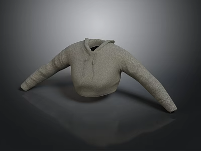 Gray Cropped Hoodie With Soft Knitted Fabric And Casual Design For Daily Wear 3d model