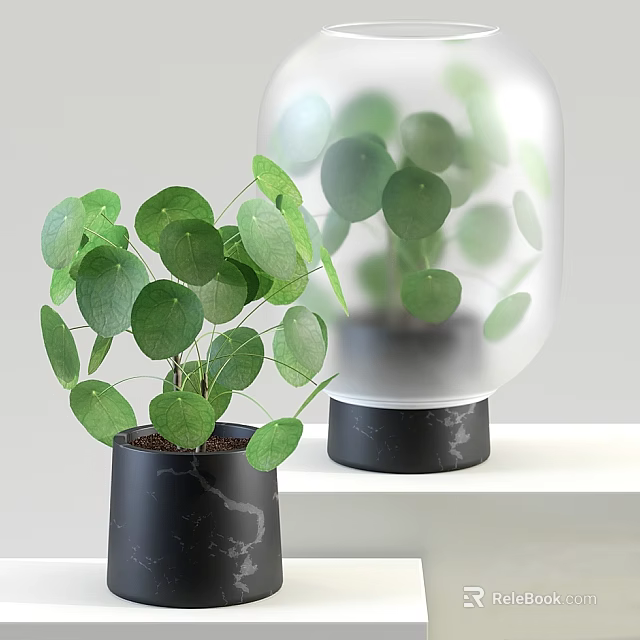 Fresh Potted Bonsai Plant with Green Leaves in Black Marble Textured Pot on White Shelf 3d model 