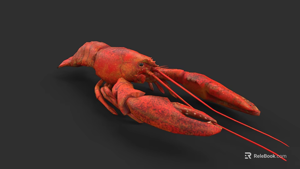 Red Lobster Marine Aquatic Animal With Large Claws And Long Red Antennae 3d model 