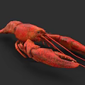 Red Lobster Marine Aquatic Animal With Large Claws And Long Red Antennae