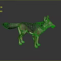 Highly Detailed 3D Fox Model In Realistic Standing Pose With Fur Texture