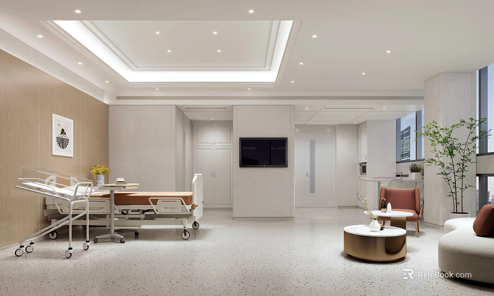 Modern Hospital Ward Interior With Comfortable Bed TV Sofa Chair And Ceiling Lighting 3d model 