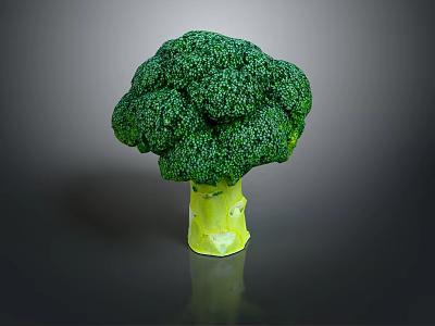 Fresh Green Broccoli with Vibrant Florets Crisp Stem and Healthy Traits 3d model
