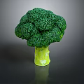 Fresh Green Broccoli with Vibrant Florets Crisp Stem and Healthy Traits