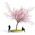 Elegant Pink Blossom Tree with People Standing and Sitting by Yellow Flower Bed