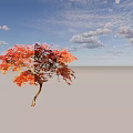 Ornamental Arbor Tree With Red Orange Leaves And Curved Trunk On White Background