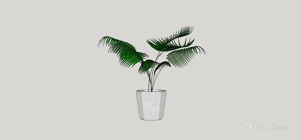 Bonsai Potted Plant with Green Palm like Leaves in White Minimalist Pot for Indoor Decoration 3d model 