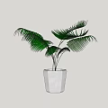 Bonsai Potted Plant with Green Palm like Leaves in White Minimalist Pot for Indoor Decoration