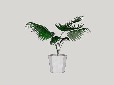 Bonsai Potted Plant with Green Palm like Leaves in White Minimalist Pot for Indoor Decoration 3d model