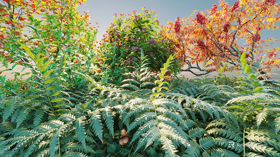 Lush Shrubs With Green Ferns Colorful Foliage And Berries In Natural Garden 3d model 