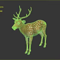 Spotted Deer With Orange Coat White Spots And Large Antlers Standing On Dark Background