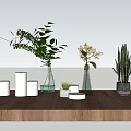 Natural Decorative Ornament Set With Green Plants White Candles And Glass Vases On Wooden Table