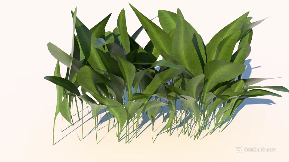 Vibrant Green Herbaceous Plants With Lush Broad Leaves And Slender Stems 3d model 