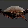 Detailed Brown Beetle with Oval Shaped Body and Red Legs on Gray Background