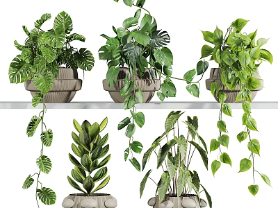 Ornamental Plant Decor Set With Various Green Plants Hanging Vines And Ceramic Planters 3d model