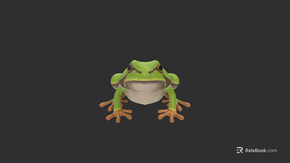 Green Aquatic Frog With Large Eyes And Orange Feet 3D Illustration 3d model 