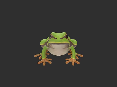 Green Aquatic Frog With Large Eyes And Orange Feet 3D Illustration 3d model