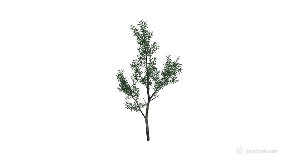 Natural Green Shrub With Lush Branches And Fresh Foliage For Outdoor Landscaping 3d model 