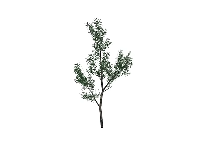 Natural Green Shrub With Lush Branches And Fresh Foliage For Outdoor Landscaping 3d model