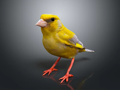 Yellow Bird Shaped Decorative Ornament On Black Surface With Grey Background 3d model