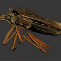 Detailed Close Up View Of A Realistic Prehistoric Insect Model Sculpture