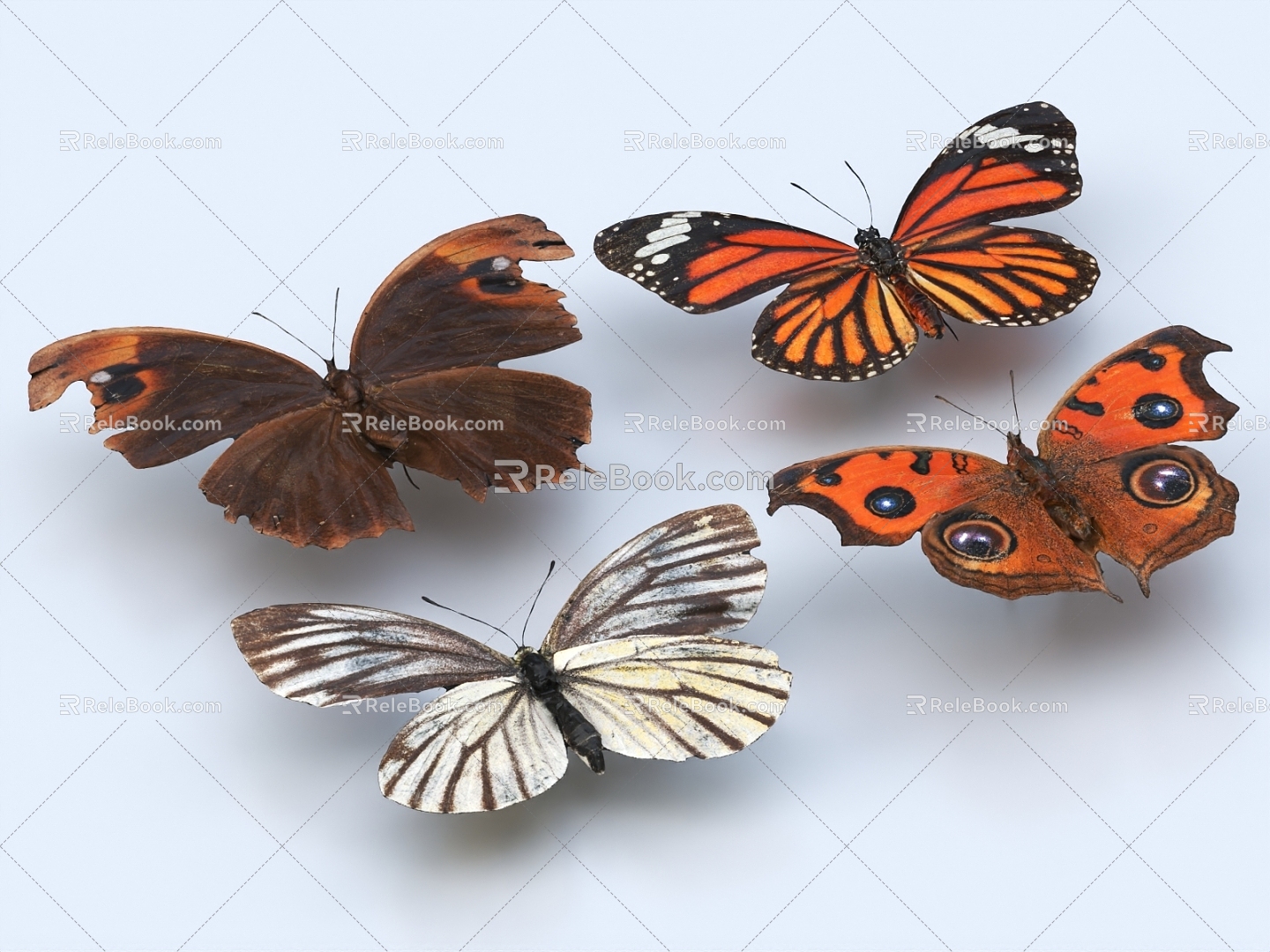 Butterfly Flower Butterfly Golden Phoenix Butterfly Colored Butterfly Insect Moth 3d model