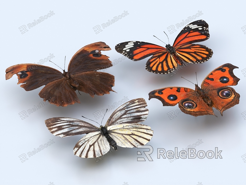 Butterfly Flower Butterfly Golden Phoenix Butterfly Colored Butterfly Insect Moth model