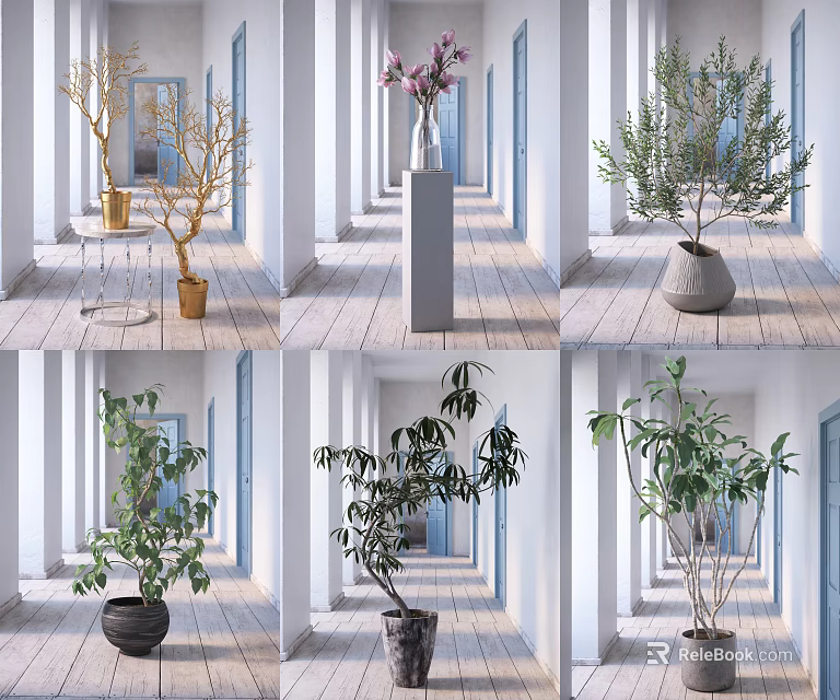 Various Bonsai Potted Plants In Elegant Indoor Corridor With Different Pots And Green Foliage 3d model 