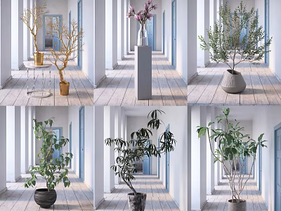 Various Bonsai Potted Plants In Elegant Indoor Corridor With Different Pots And Green Foliage 3d model