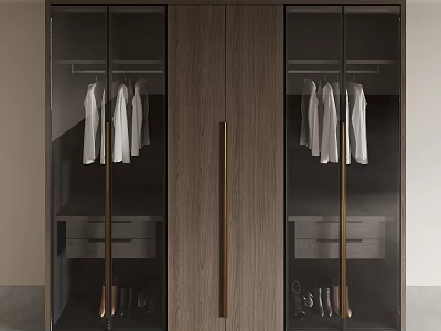 Modern Wardrobe with Glass Doors White Garments Hanging Inside Drawers and Shoes Storage 3d model