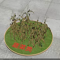 Vegetable Display Featuring Corn Plants on Circular Green Mat and Category Sign
