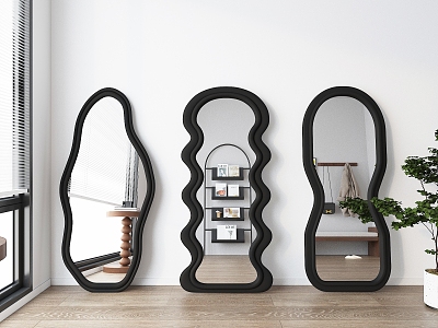 Irregular mirror fitting mirror full-length mirror floor mirror decorative mirror 3d model