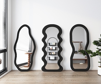 Irregular mirror fitting mirror full-length mirror floor mirror decorative mirror 3d model