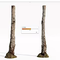 Two Tree Trunks With Rough Bark And Root Base On White Background 3d model