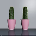 Two Green Potted Cacti in Pink Pots on Gray Tabletop Against Gray Wall