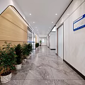 Spacious Modern Elevator Hallway Interior With Bright Lighting Marble Flooring Green Plants And Blue Signage