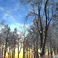 Snowy Landscape With Snow Covered Trees And Sunset Sky In Orange Blue Hues