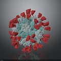 Detailed Organ And Hair Microscopic Structure With Red Blue White Spherical Components
