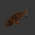 Brown Fish With Large Eyes And Colorful Rubik's Cube On Gray Background