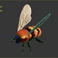 Detailed Realistic Bee with Orange Black Body and Transparent Textured Wings on Dark Background